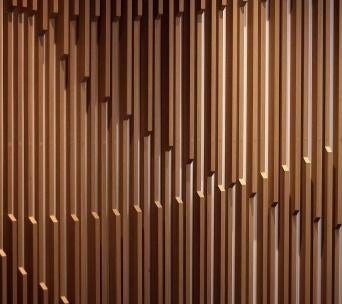 abstract wood texture