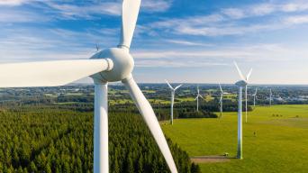Wind turbines in a field
