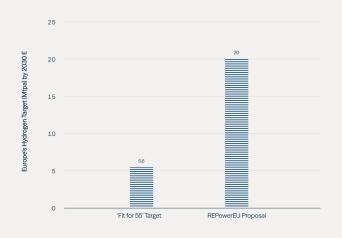 EU Commission, Goldman Sachs Global Investment Research.